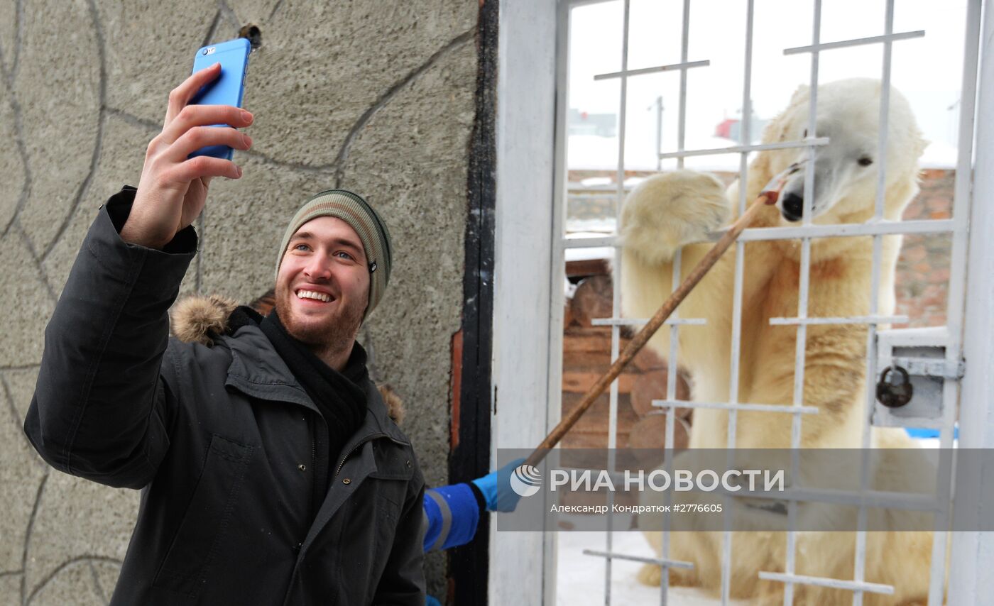 Хоккеисты ХК "Трактор" навестили живой талисман команды - белого медведя Алтына