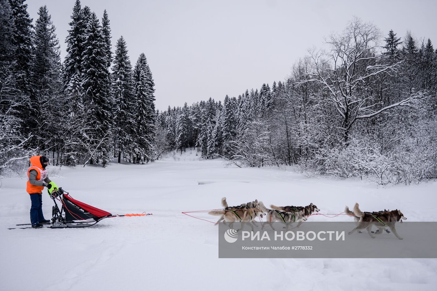 Международная гонка на собачьих упряжках "По земле Сампо"
