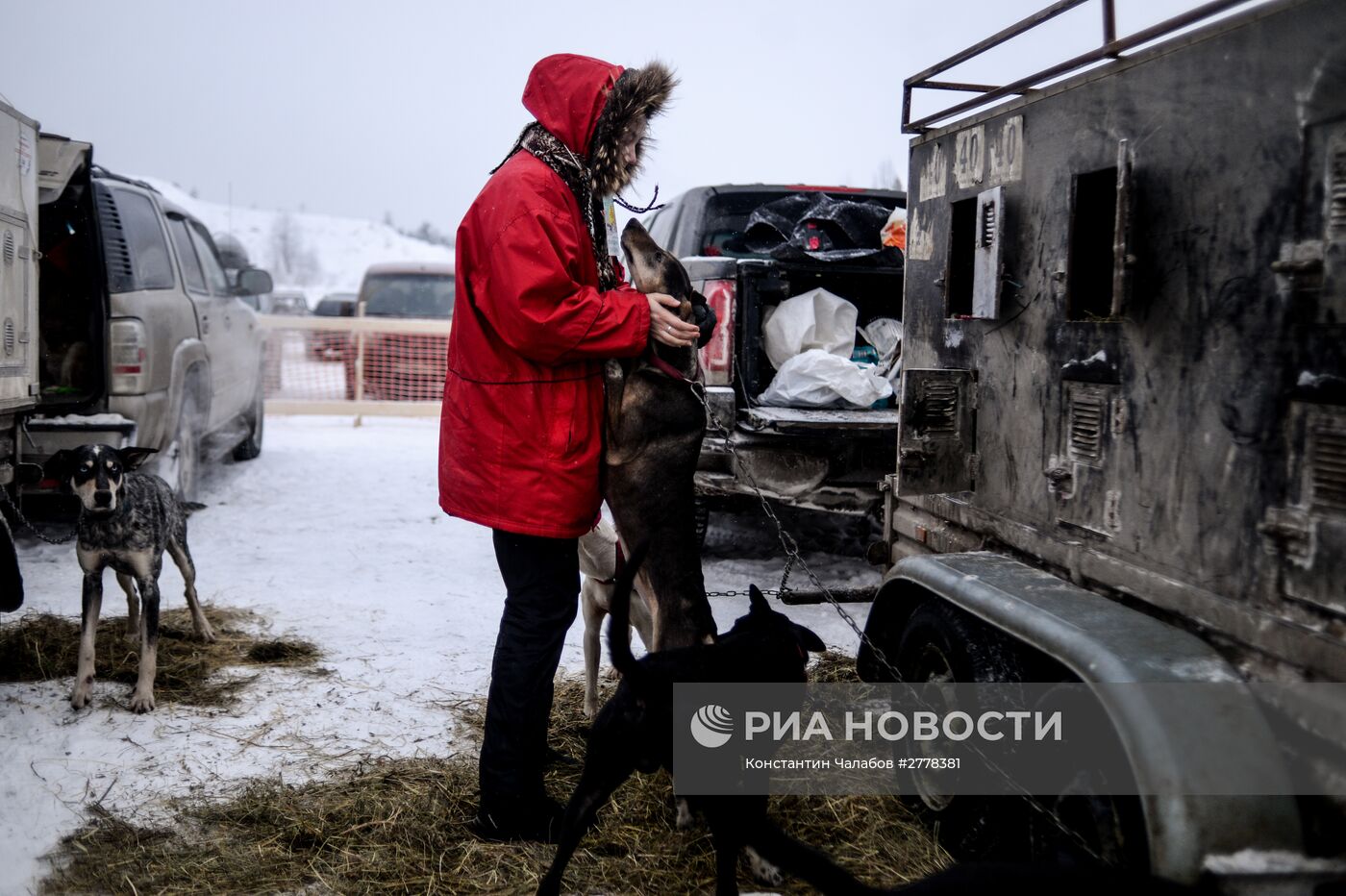 Международная гонка на собачьих упряжках "По земле Сампо"