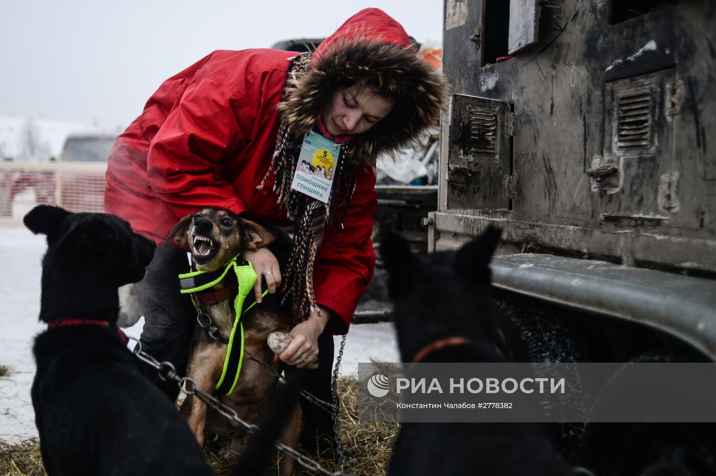 Международная гонка на собачьих упряжках "По земле Сампо"