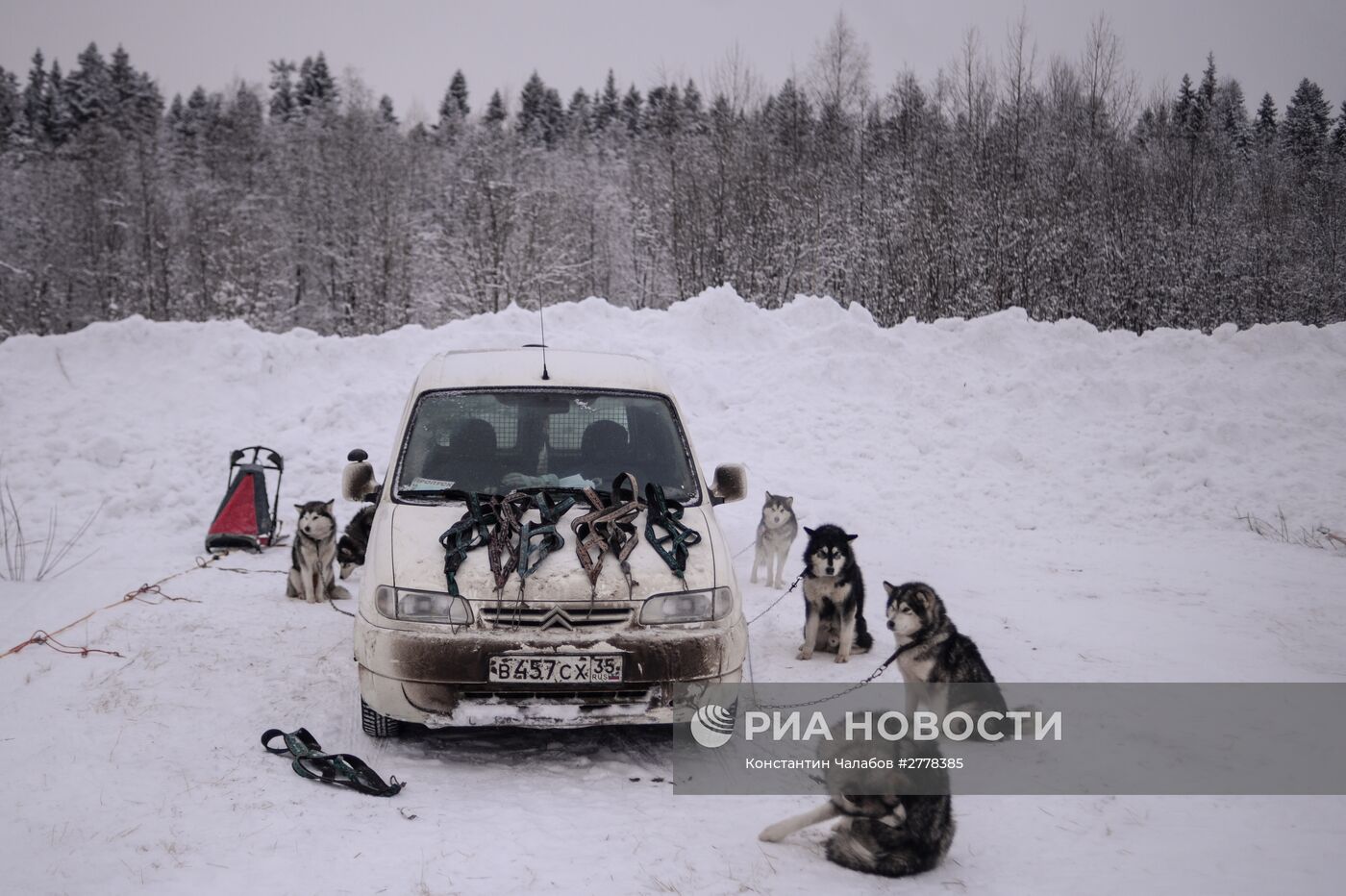 Международная гонка на собачьих упряжках "По земле Сампо"