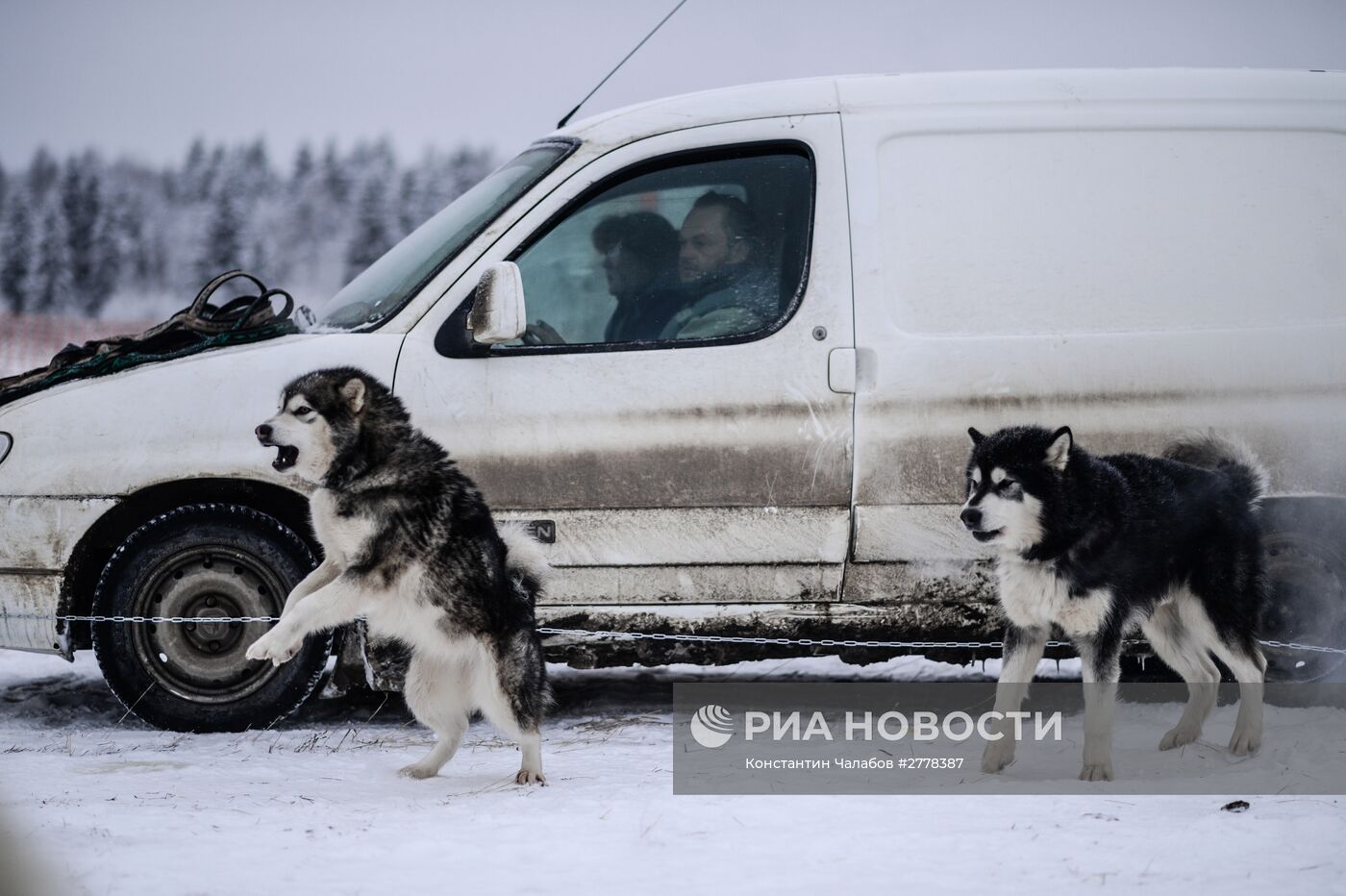 Международная гонка на собачьих упряжках "По земле Сампо"