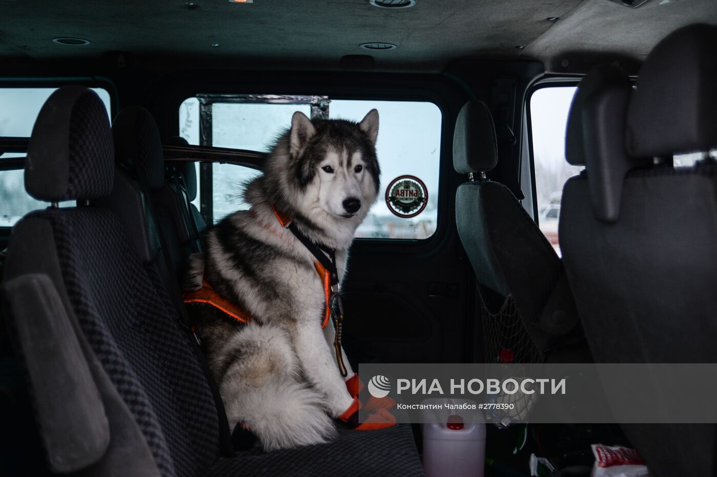 Международная гонка на собачьих упряжках "По земле Сампо"