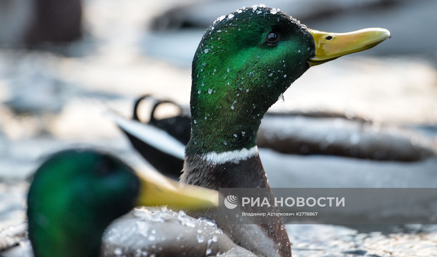 Повседневная жизнь