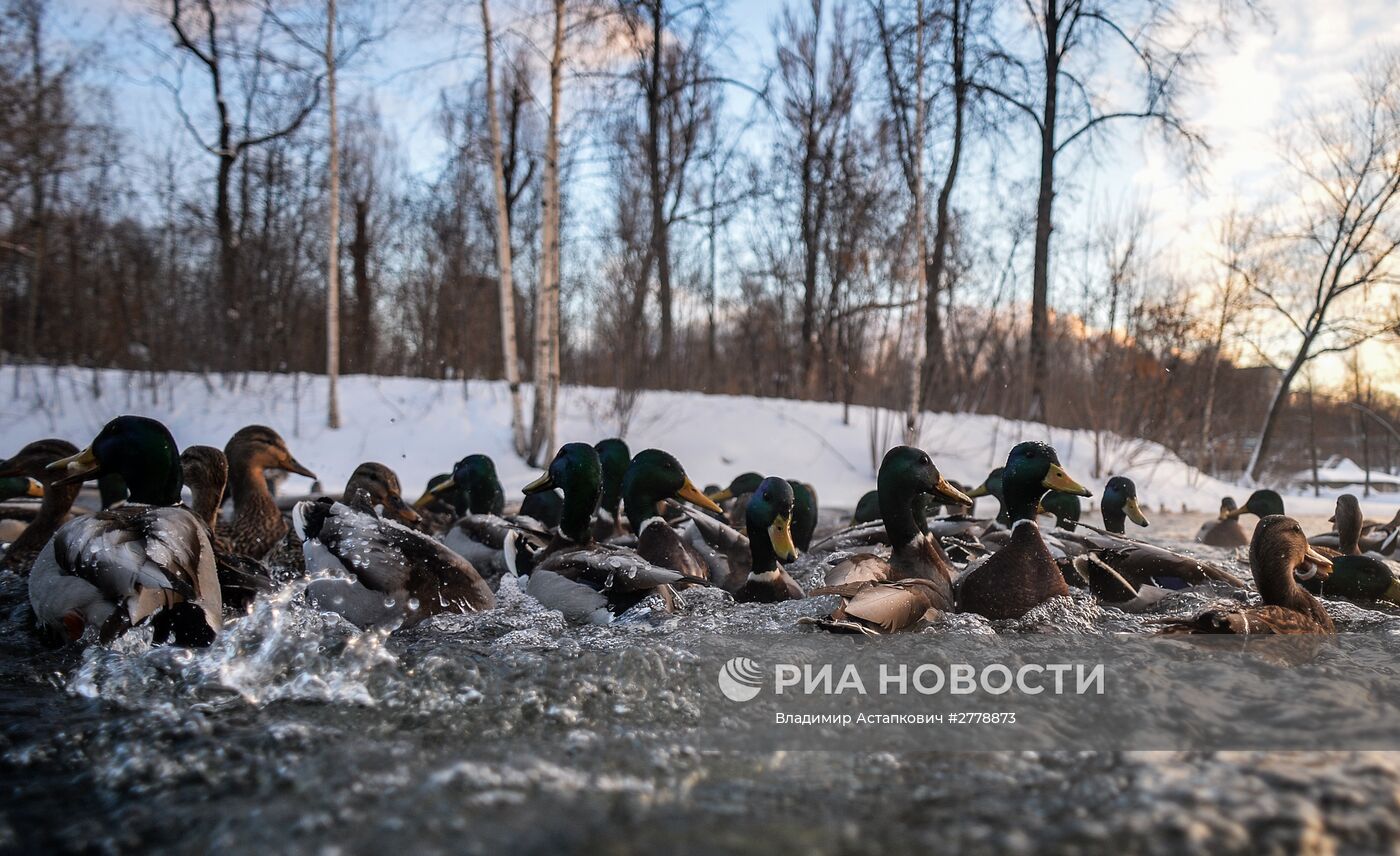 Повседневная жизнь