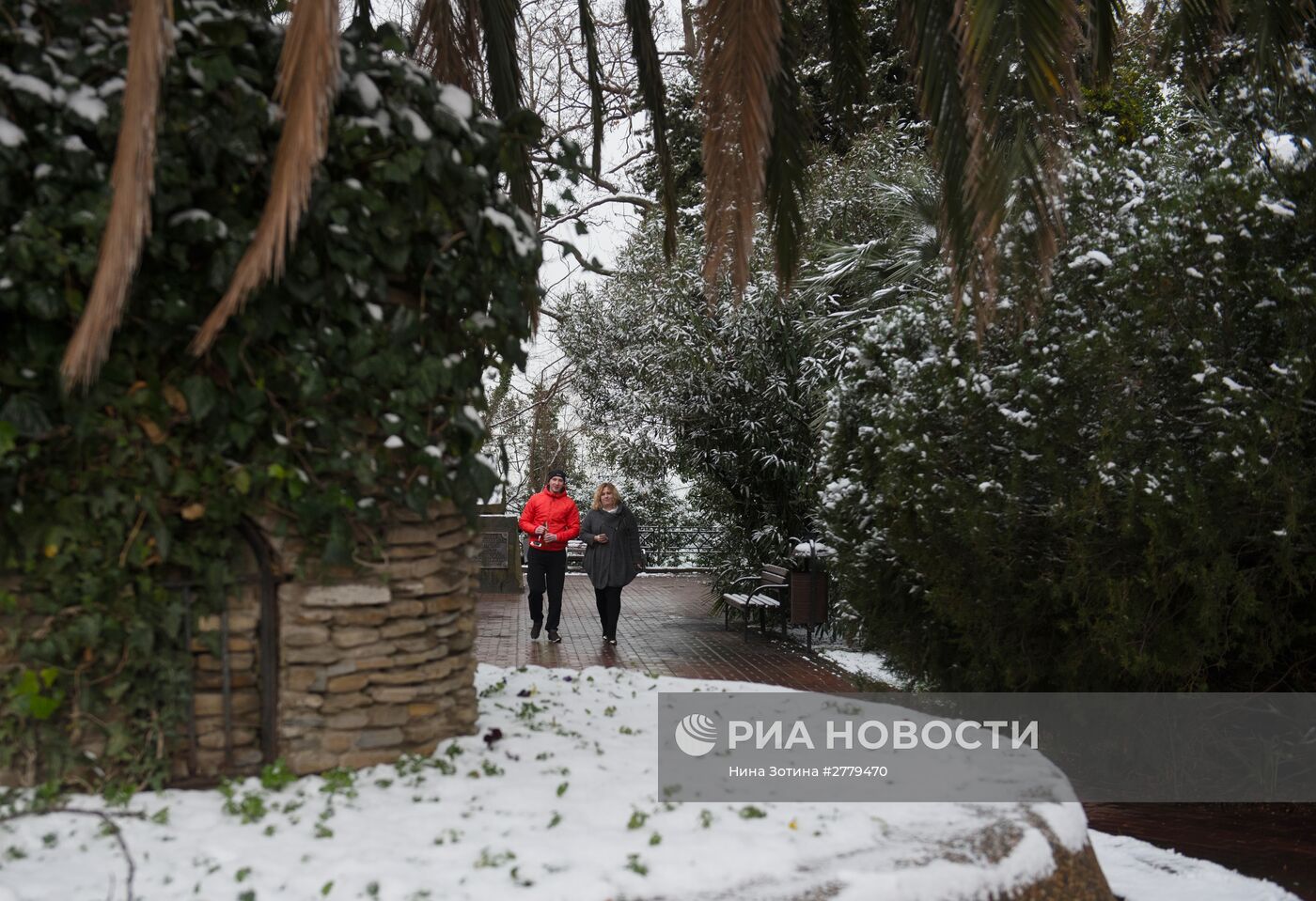 Зима в Сочи