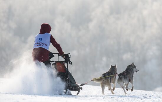 Открытый чемпионат Омской области по снежным дисциплинам ездового спорта на собаках
