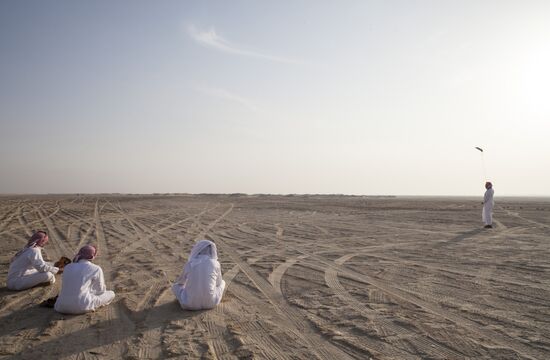 Королевские соколы Бахрейна