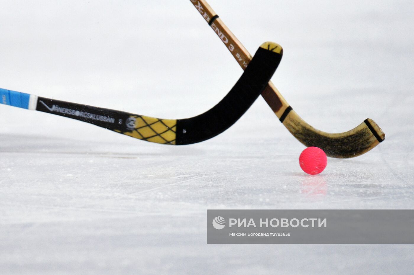 Хоккей с мячом. Чемпионат мира. Матч Белоруссия - Норвегия