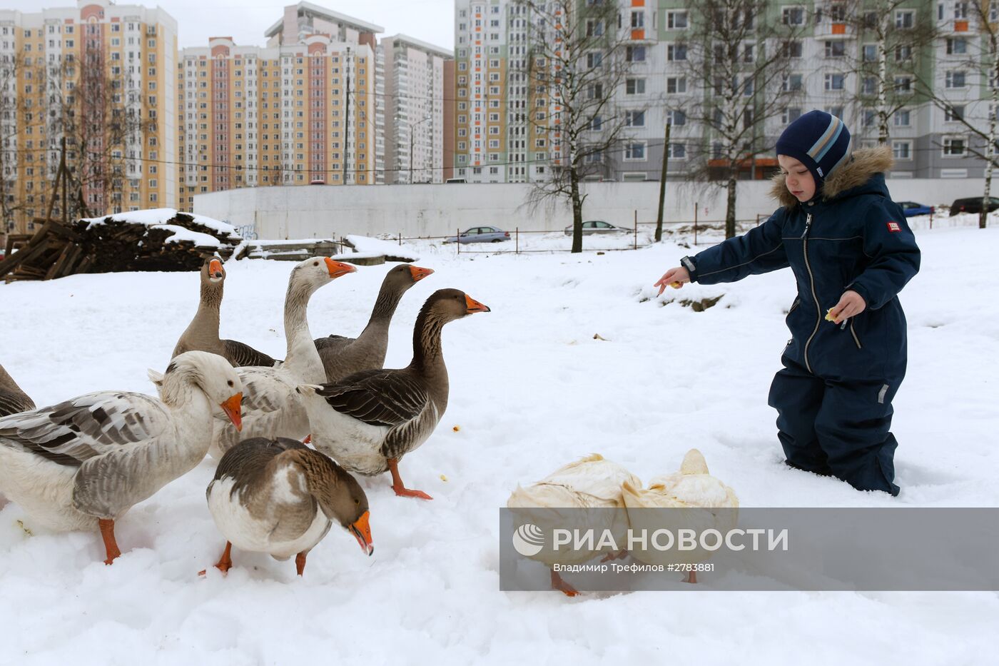 Повседневная жизнь