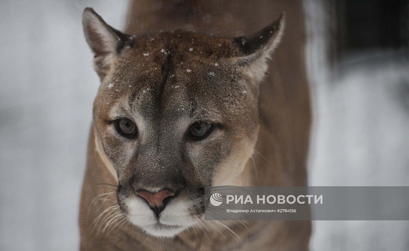 Московский зоопарк