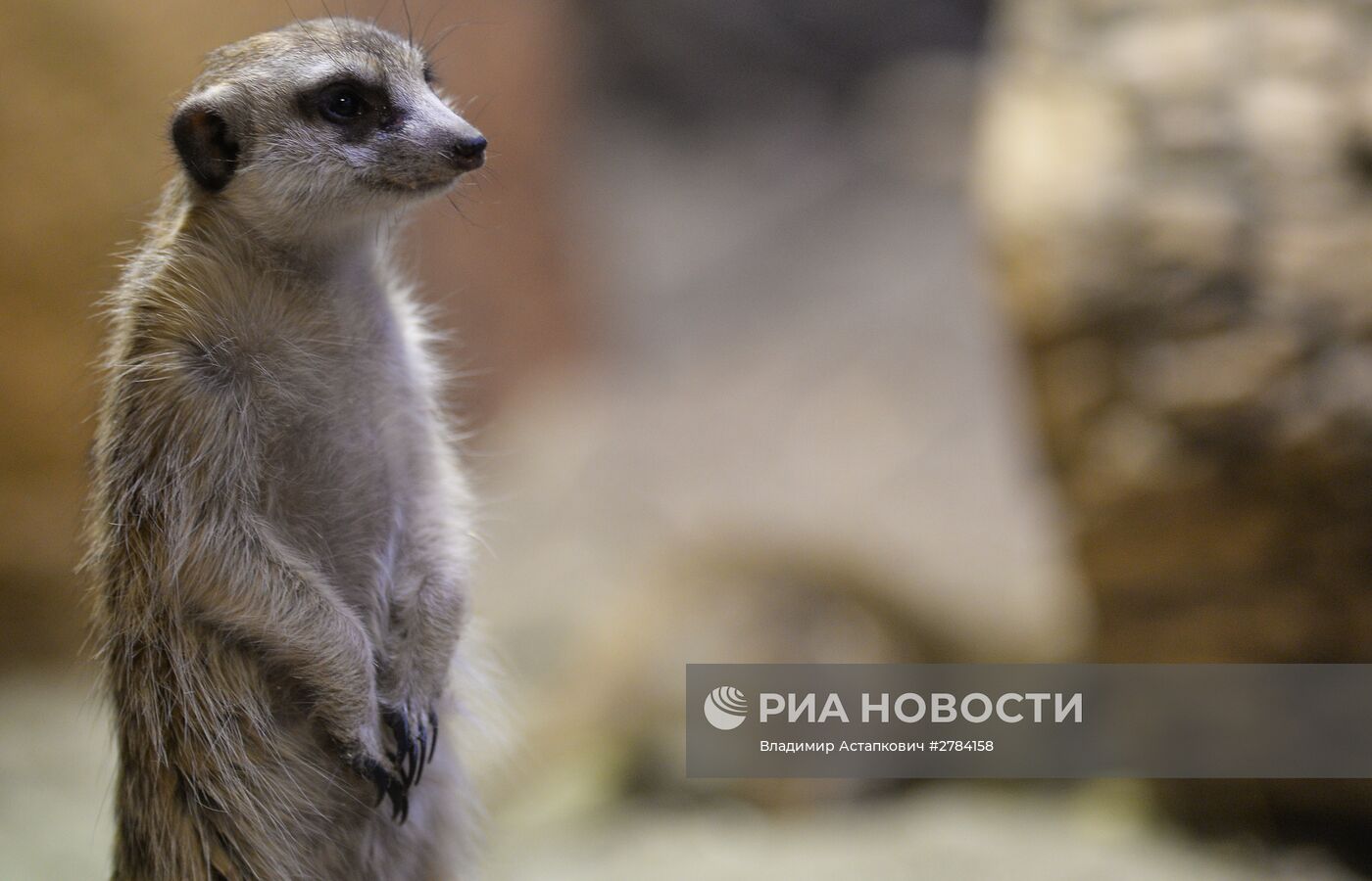 Московский зоопарк