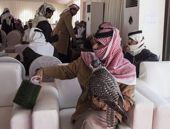 Королевские соколы Бахрейна