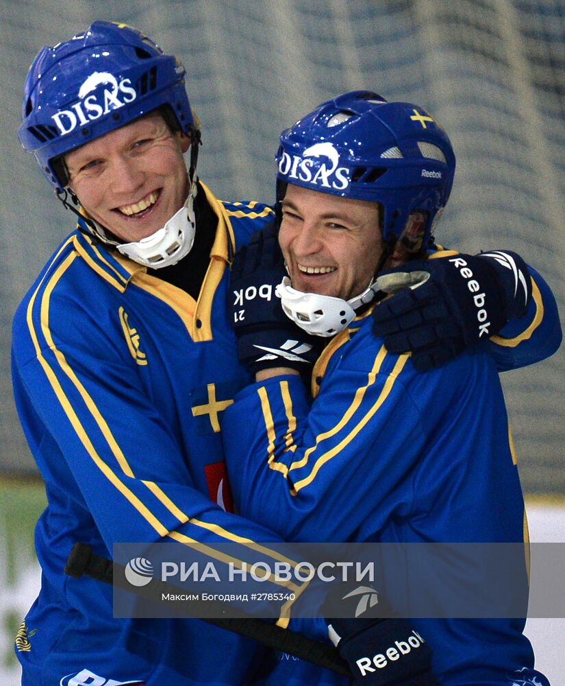 Хоккей с мячом. Чемпионат мира. Матч Швеция - Латвия