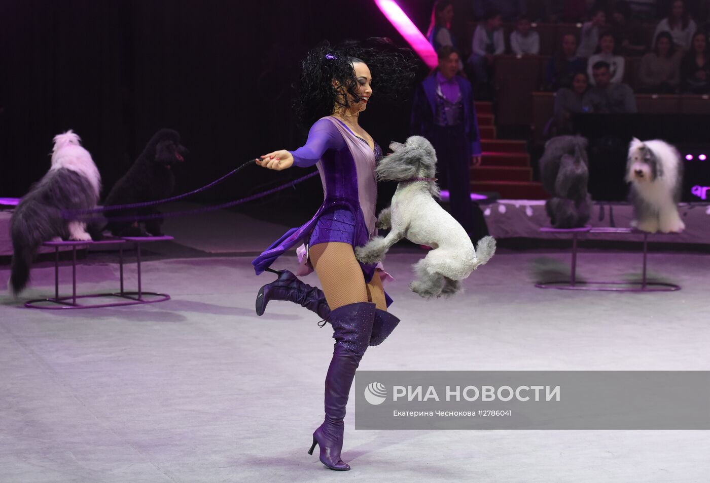 Премьера цирковой постановки "Эмоци и…"