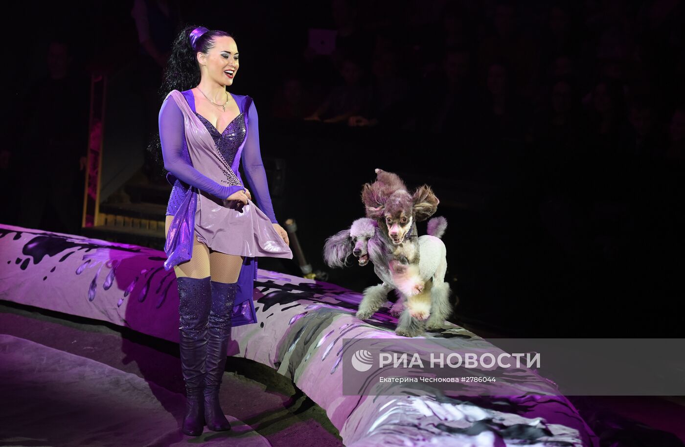 Премьера цирковой постановки "Эмоци и…"
