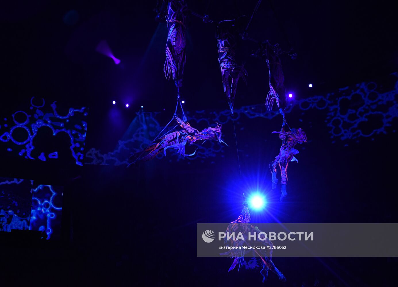Премьера цирковой постановки "Эмоци и…"
