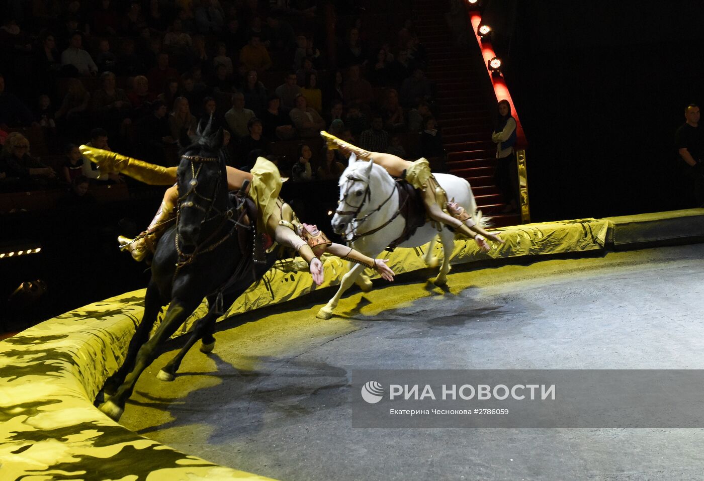 Премьера цирковой постановки "Эмоци и…"