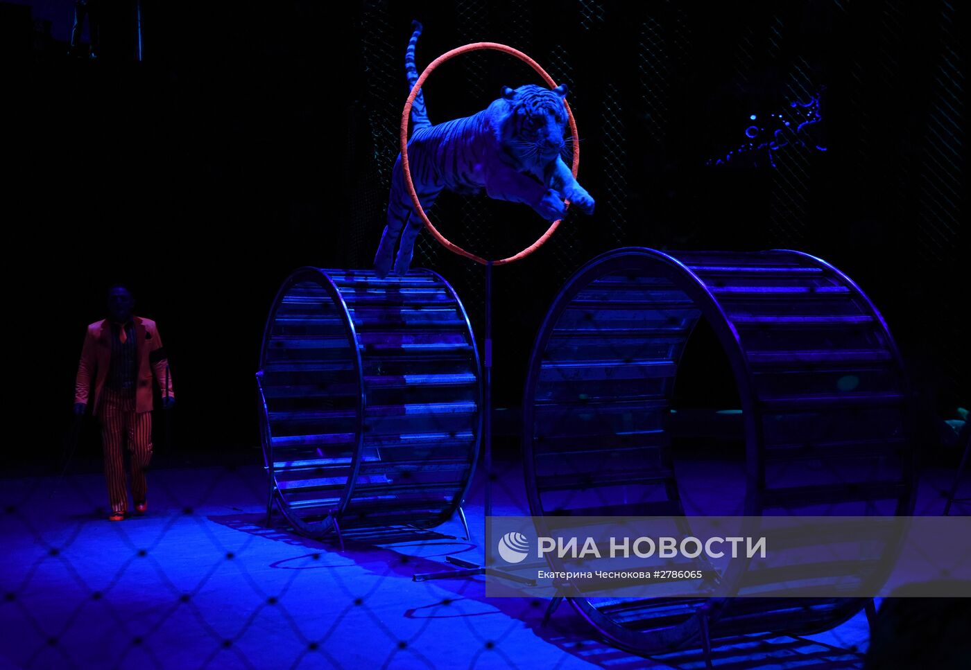 Премьера цирковой постановки "Эмоци и…"