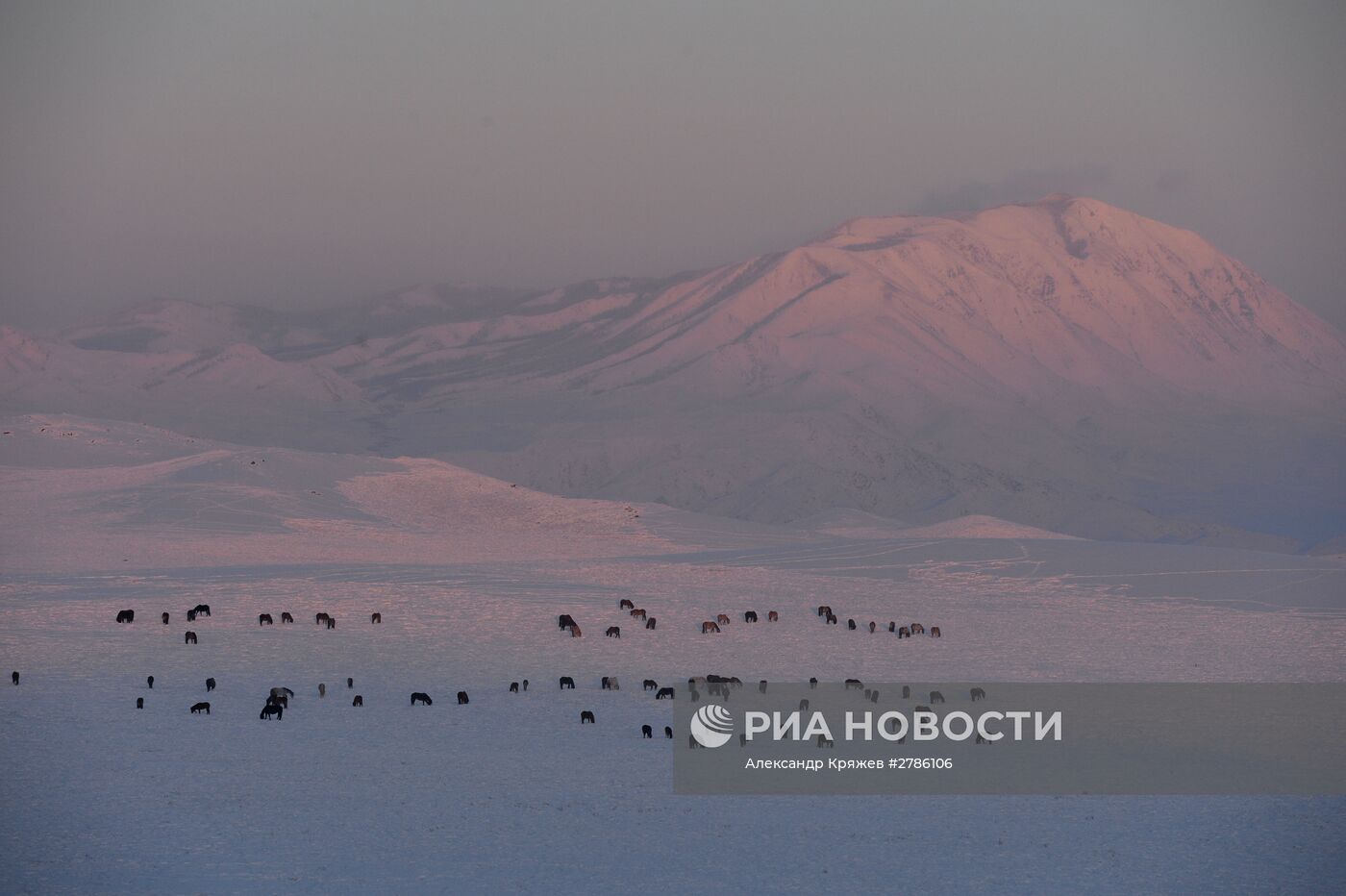 Зимние чабанские стоянки в Республике Тыва