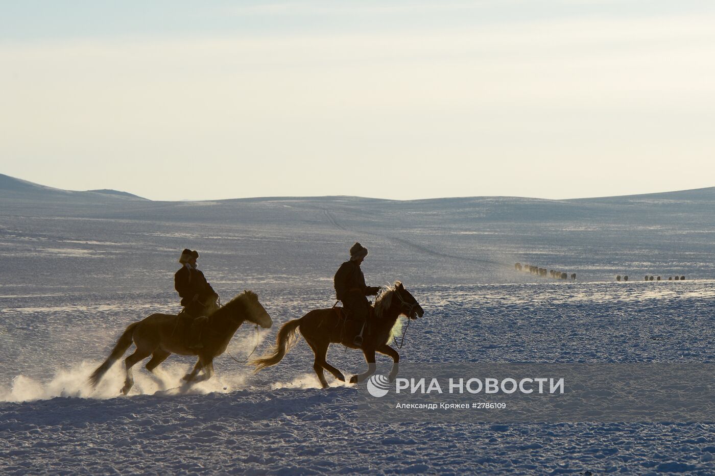 Зимние чабанские стоянки в Республике Тыва