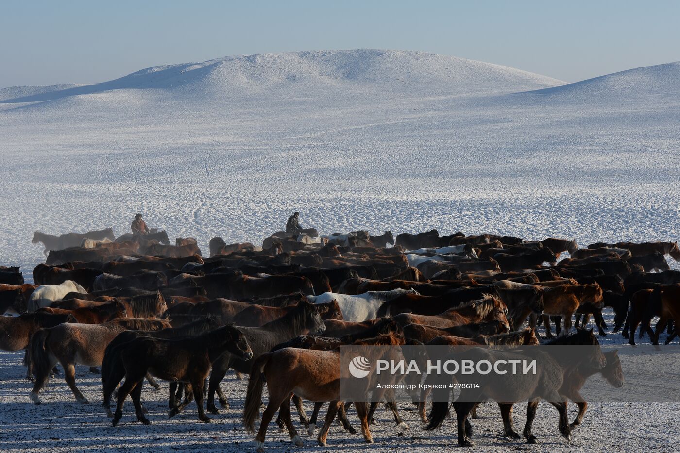Зимние чабанские стоянки в Республике Тыва