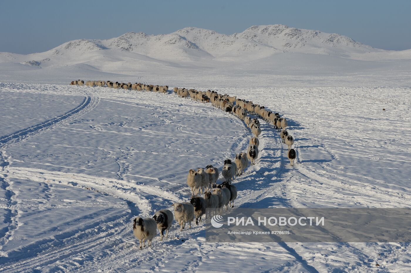 Зимние чабанские стоянки в Республике Тыва