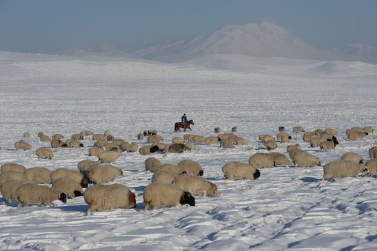 Зимние чабанские стоянки в Республике Тыва