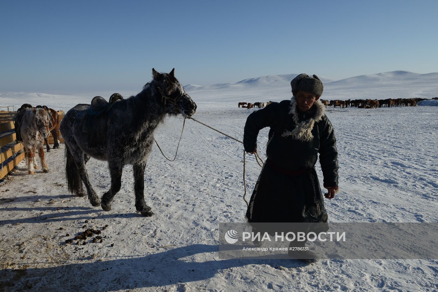 Зимние чабанские стоянки в Республике Тыва