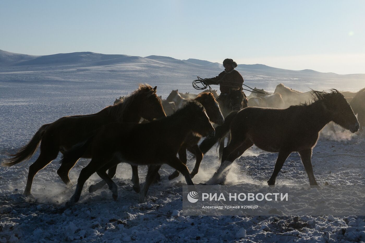 Зимние чабанские стоянки в Республике Тыва