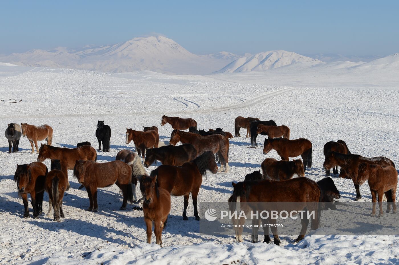 Зимние чабанские стоянки в Республике Тыва