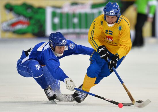 Хоккей с мячом. Чемпионат мира. Матч Финляндия - Швеция