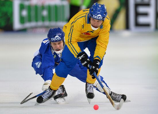 Хоккей с мячом. Чемпионат мира. Матч Финляндия - Швеция