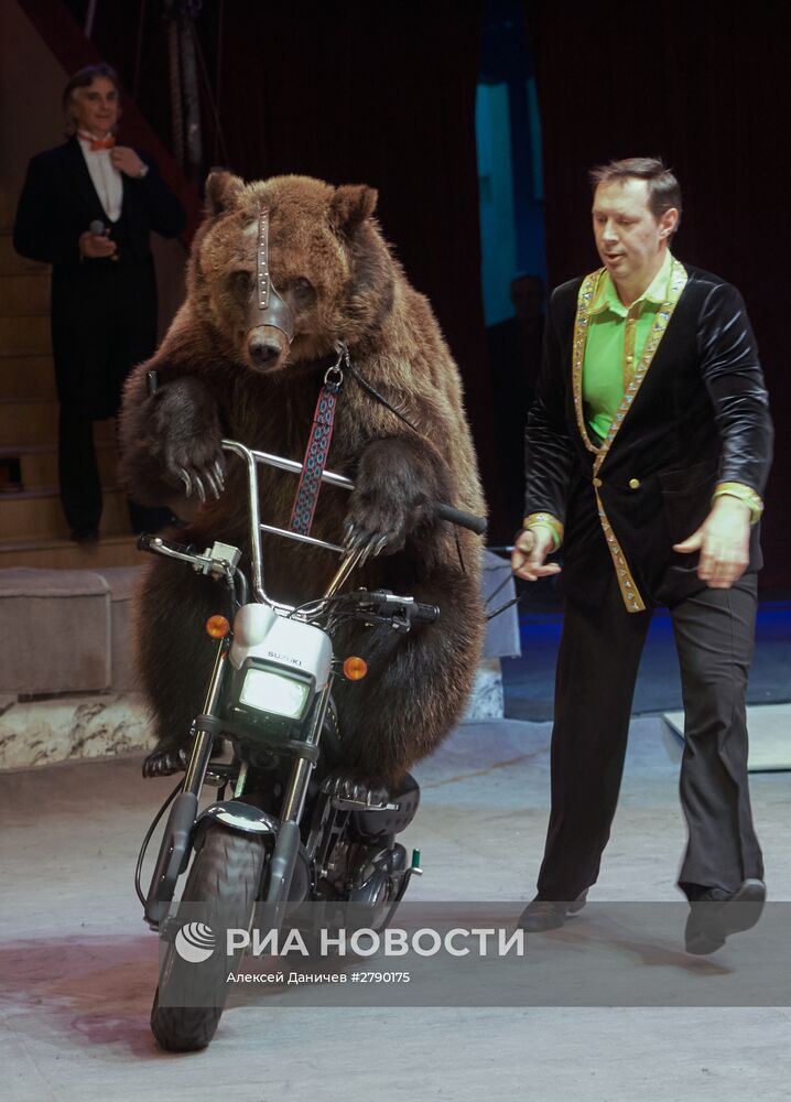 Премьера новой цирковой программы "Пусть всегда будет солнце" с участием клоуна Олега Попова