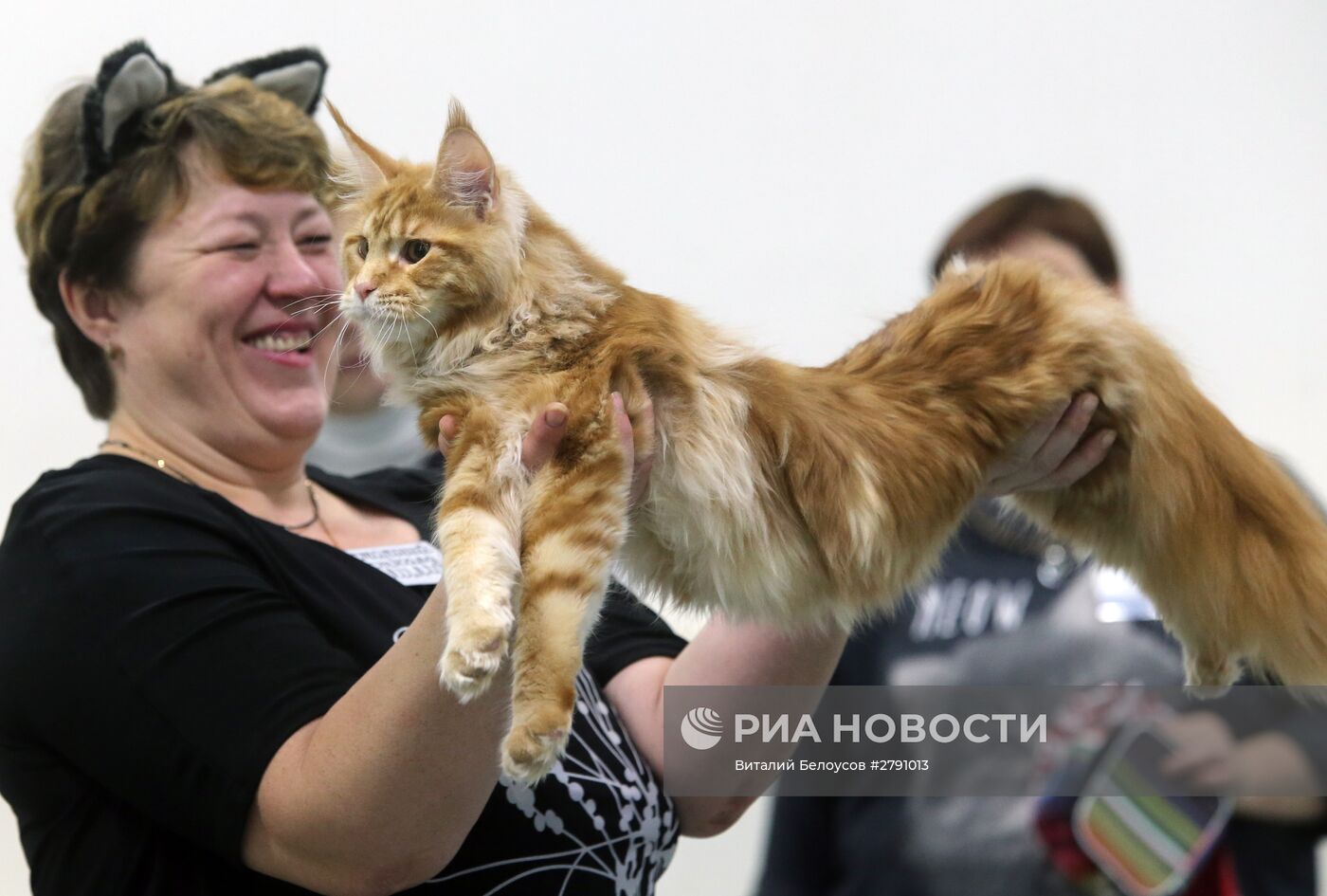 Выставка кошек и котов в конгрессно-выставочном центре "Сокольники" в Москве