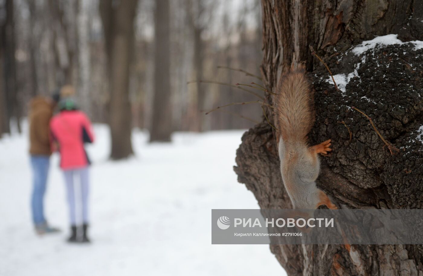 Празднование Дня влюбленных