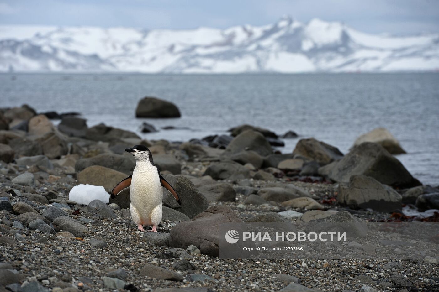 Визит патриарха Московского и всея Руси Кирилла на российскую полярную станцию в Антарктиде