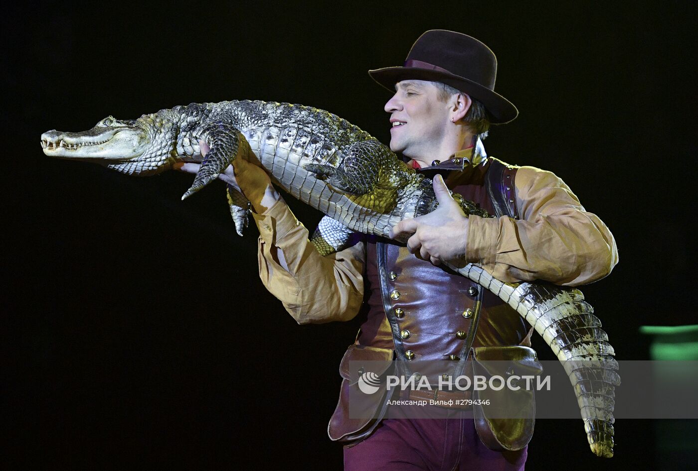 Премьера новой программы "Браво" в Московском цирке Никулина