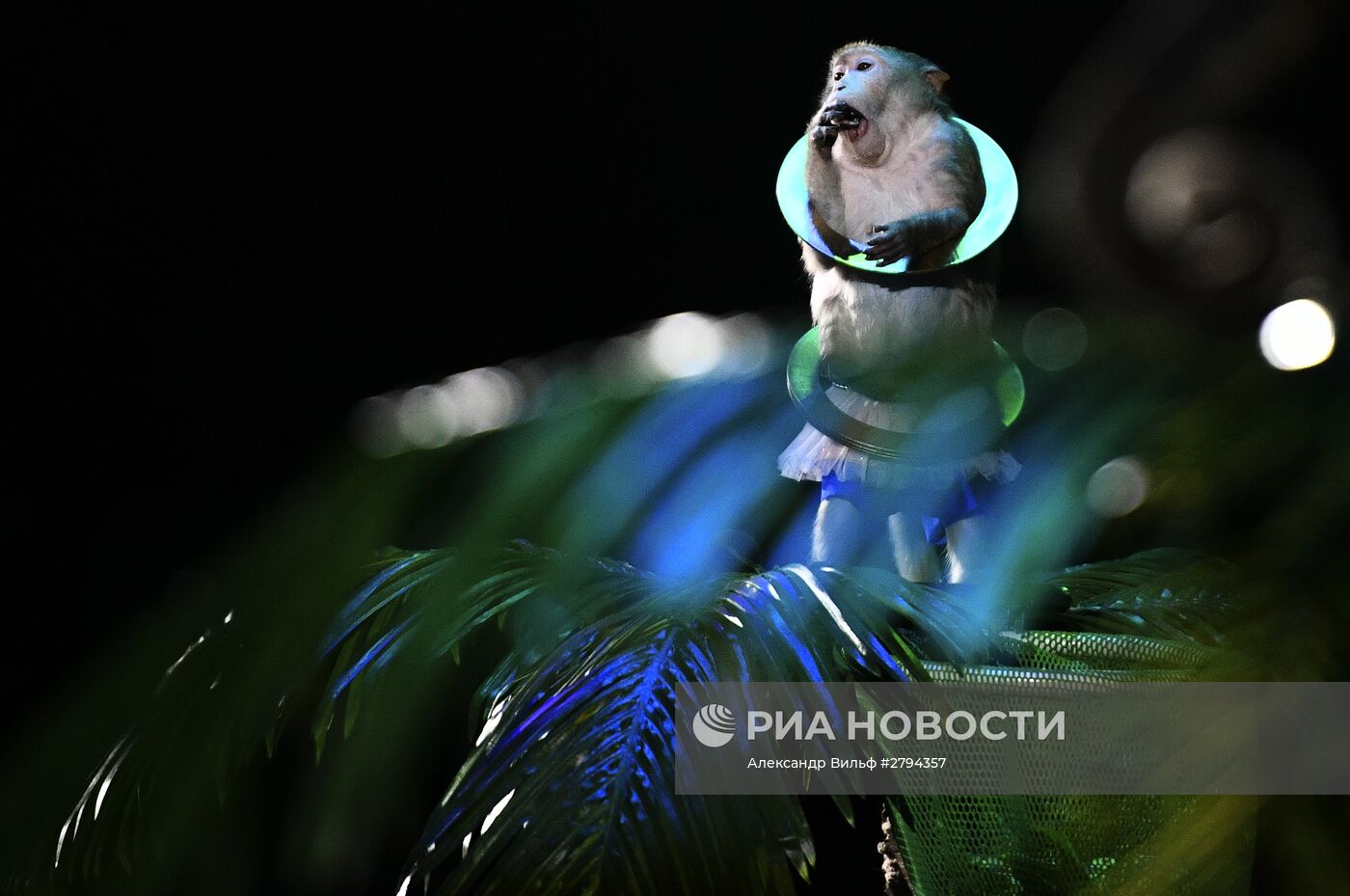 Премьера новой программы "Браво" в Московском цирке Никулина