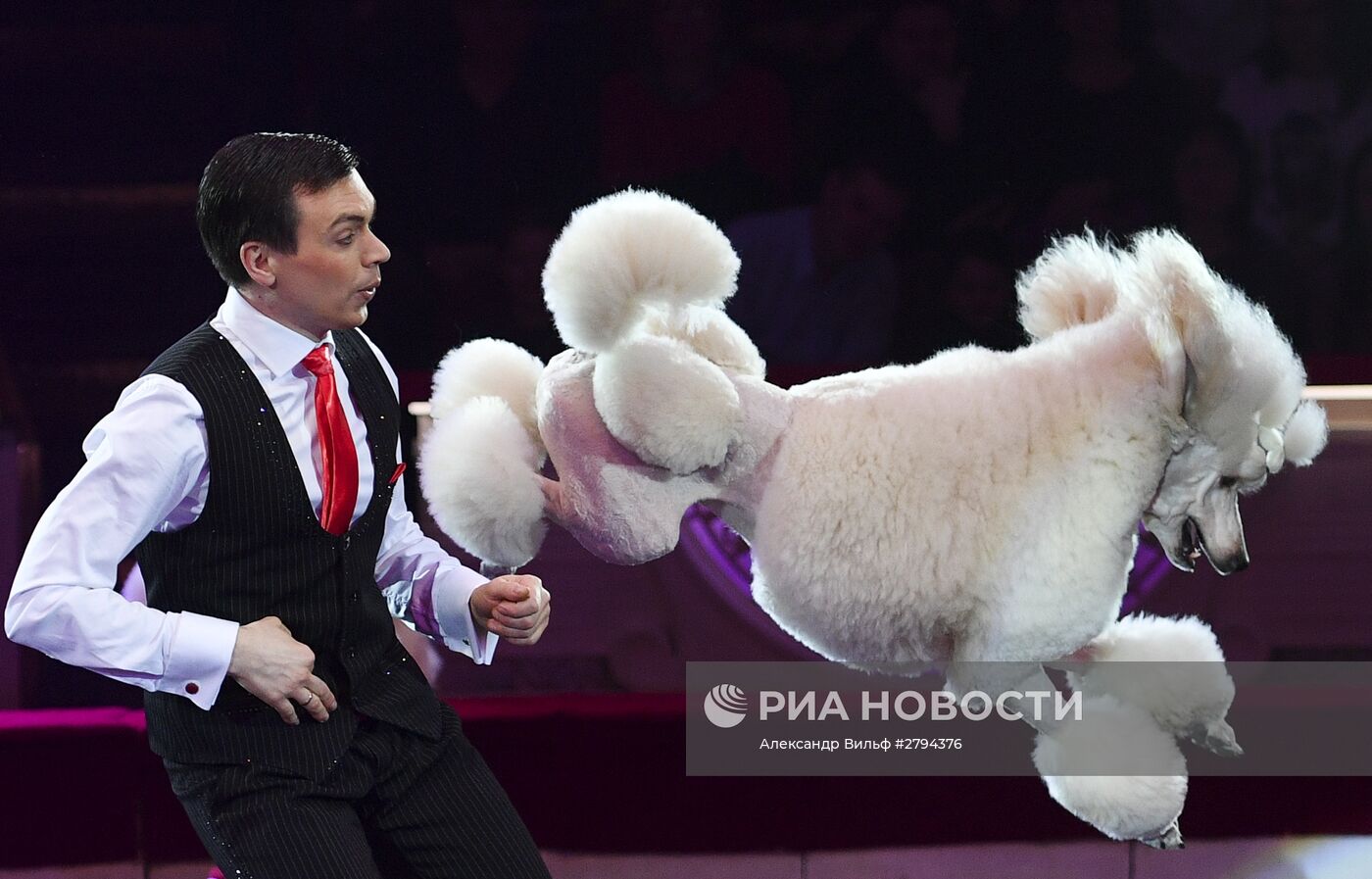 Премьера новой программы "Браво" в Московском цирке Никулина