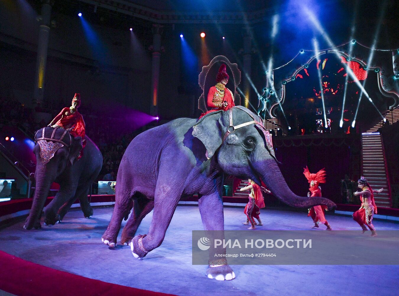 Премьера новой программы "Браво" в Московском цирке Никулина