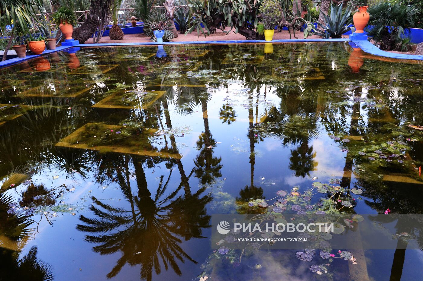 Сад Мажорель в Марракеше