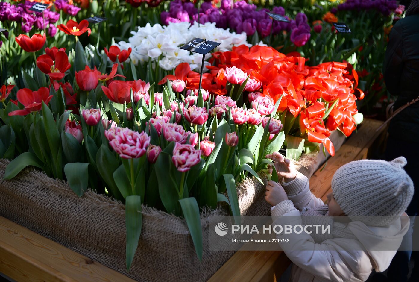 II ежегодная выставка "Репетиция весны" в "Аптекарском огороде"