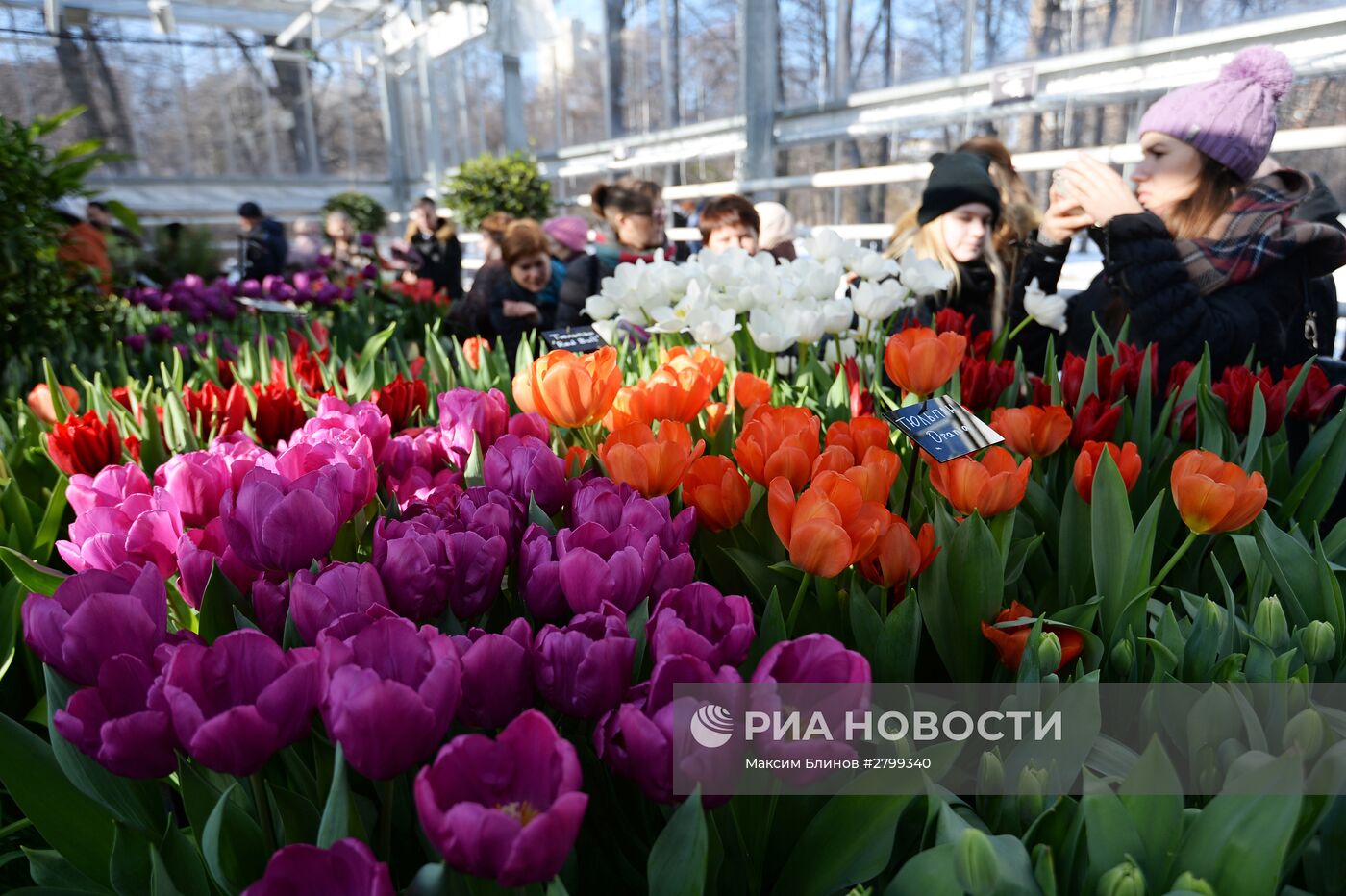 II ежегодная выставка "Репетиция весны" в "Аптекарском огороде"