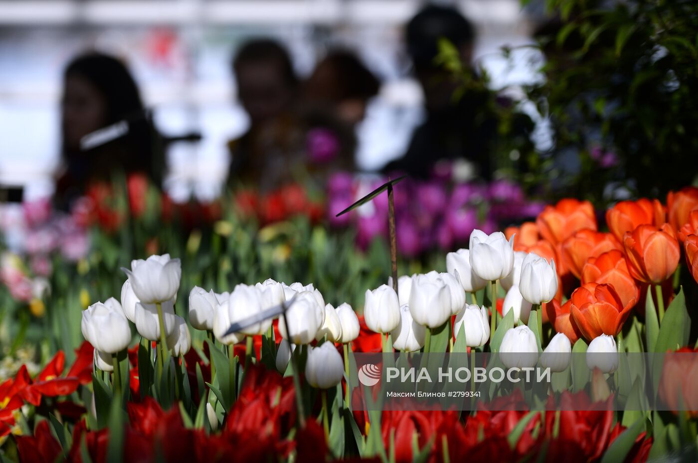 II ежегодная выставка "Репетиция весны" в "Аптекарском огороде"