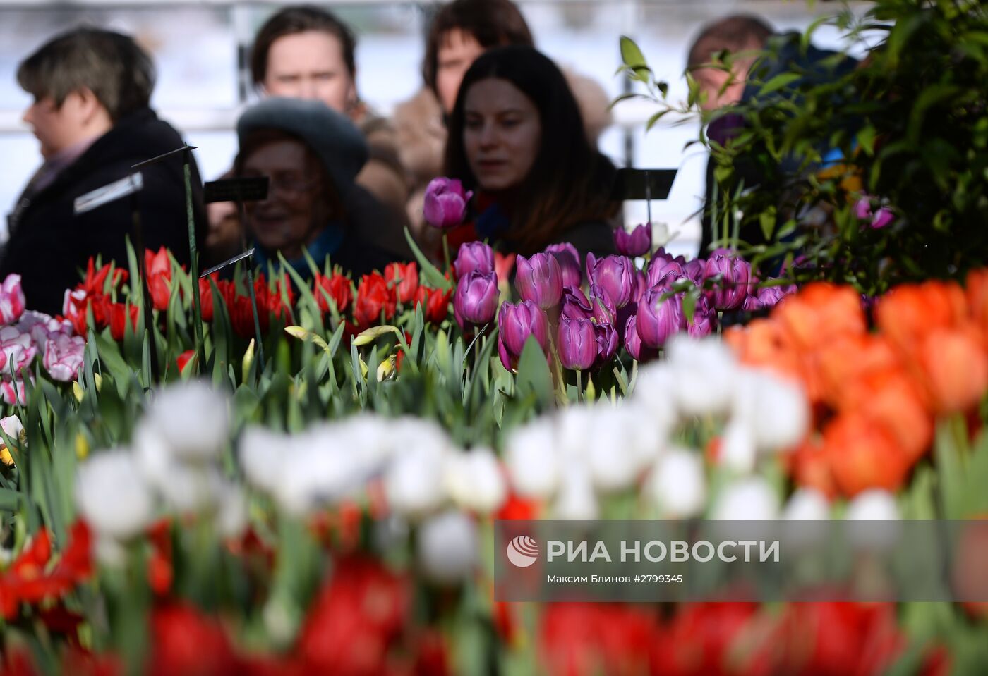 II ежегодная выставка "Репетиция весны" в "Аптекарском огороде"