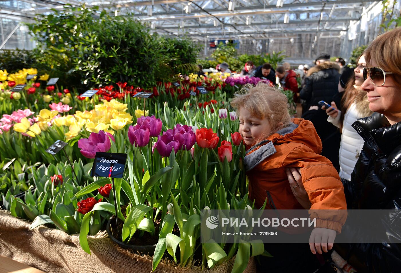 II ежегодная выставка "Репетиция весны" в "Аптекарском огороде"