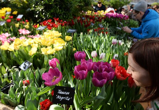 II ежегодная выставка "Репетиция весны" в "Аптекарском огороде"