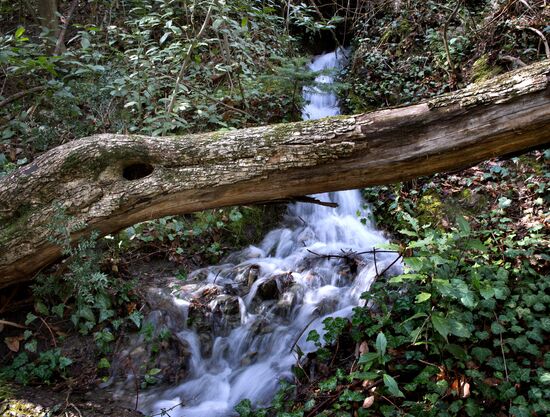 Регионы России. Крым