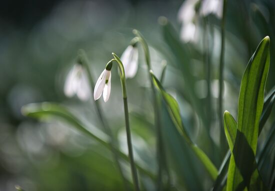 Регионы России. Крым